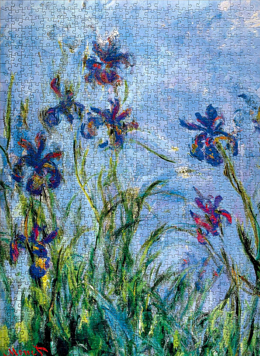 Puzzle 1000 Pezzi CALVENDO "Moments In Air", 64x48 Cm, Paesaggi Aerei Da Glacier