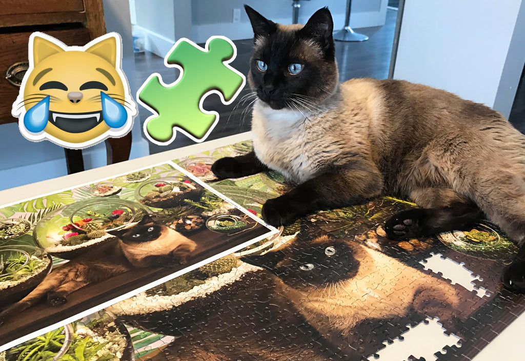 Jigsaw Puzzles and Cats