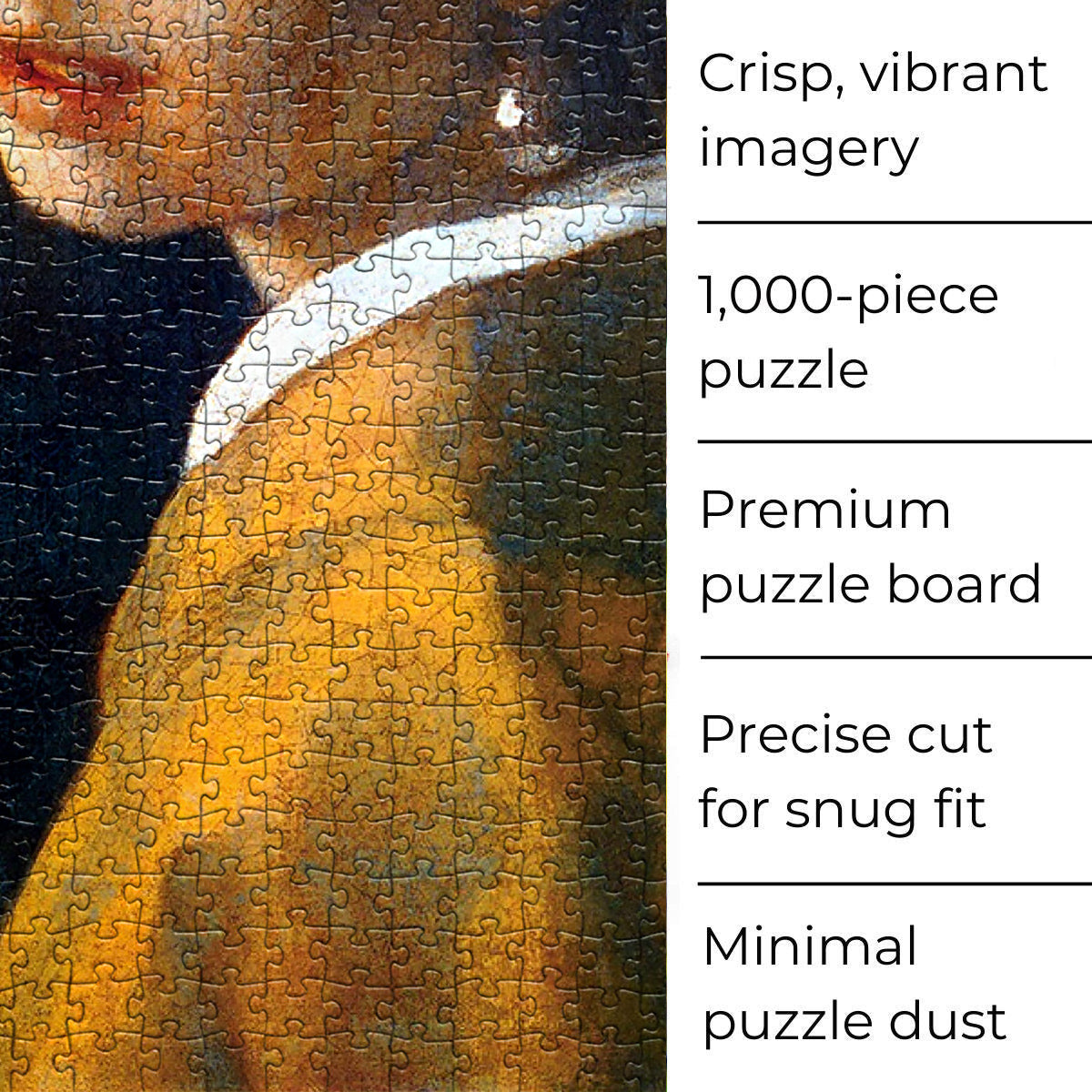 Framed Beauty: Eurographics' Girl With A Pearl Earring Jigsaw Puzzle