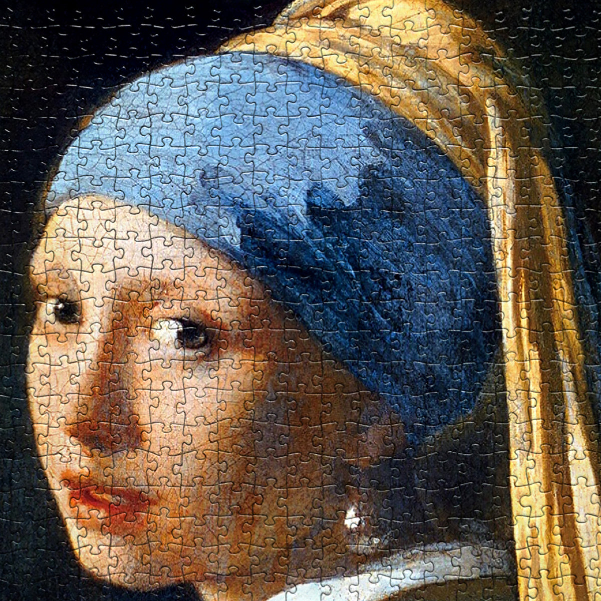 Fine Art Fun: Eurographics' Girl With A Pearl Earring Jigsaw Puzzle