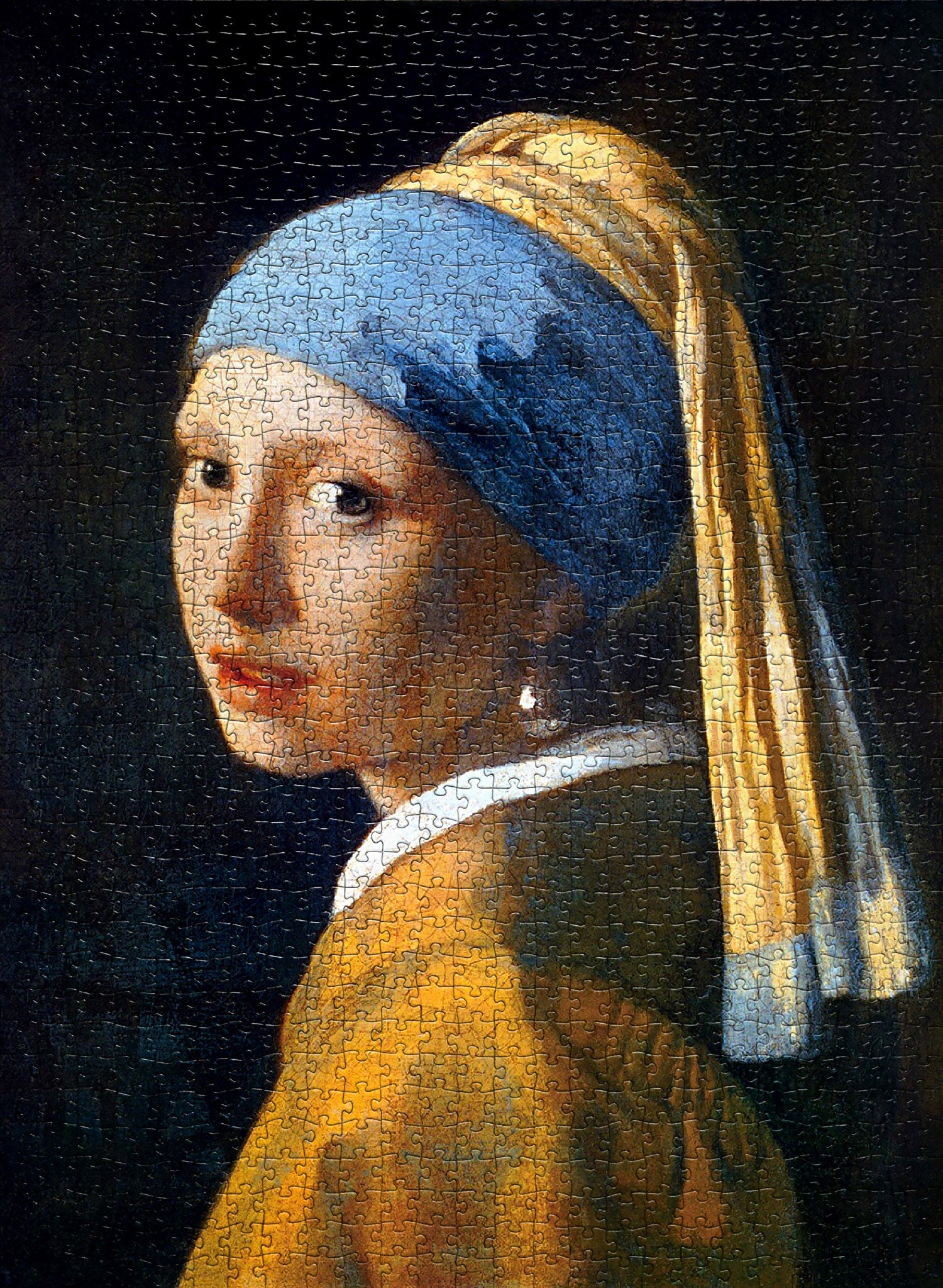 Challenging Eurographics Jigsaw Puzzle: Girl With A Pearl Earring by Vermeer