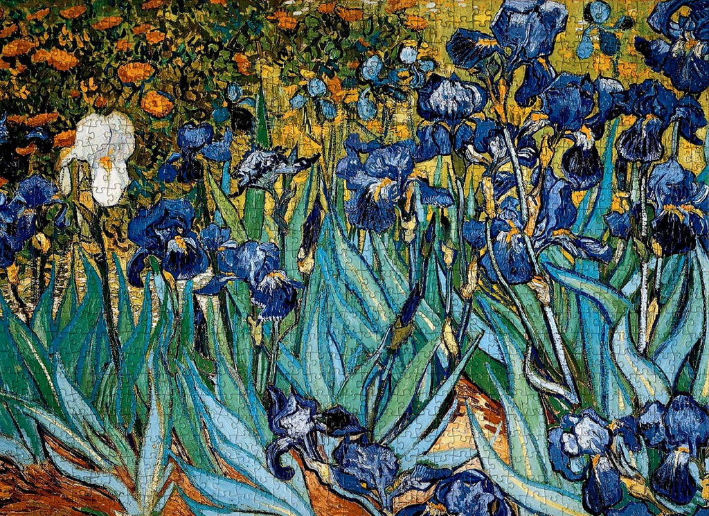 1000-piece Vincent Van Gogh Irises Jigsaw Puzzle